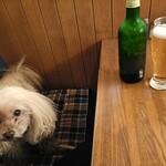 カスタネット - 
