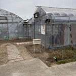 みえの森苺園 - 