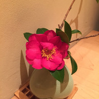 銀座ささ花 - 