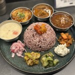 Curry Spice Gelateria KALPASI - 