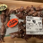 SENDO - 料理写真:ボイルホタルイカ　645円