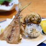 魚将　さかなちゃん - アジ 長島