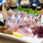 魚将　さかなちゃん - アジ 長島