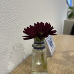 Dang dang cafe - 