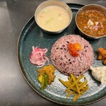 Curry Spice Gelateria KALPASI - 