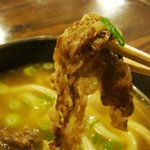 Menkuishubou Daishin Udon - 肉うどん.