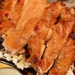 炭火串焼物語 SAKE - 鳥炭火焼き重
