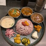 Curry Spice Gelateria KALPASI - 