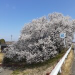 麺屋三郎 - 