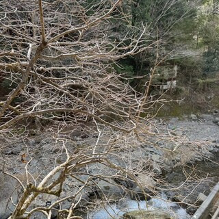 そば処 かど久_1