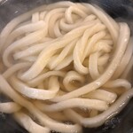 本格さぬきうどん　穂乃香 - 