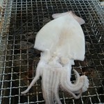 牡蠣ハウス マルハチ - イカの一夜干し