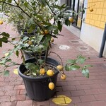 島ごころ SETODA - 