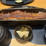 鰻魚四代目菊川 京都驛Porta店 - 
