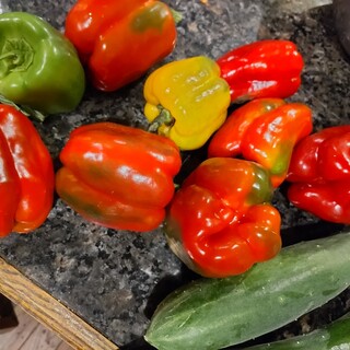 “食で健康に”をテーマに、栄養を学んだオーナーが寄り添う