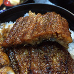 炭火焼うなぎ 東山物産 - うなぎ丼(中)