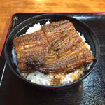 炭火焼うなぎ 東山物産 - うなぎ丼(中)
