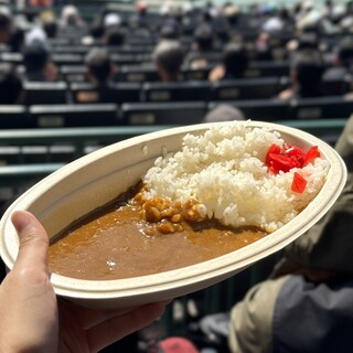 甲子園カレー_0