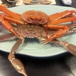 味処 美佐 - 料理写真: