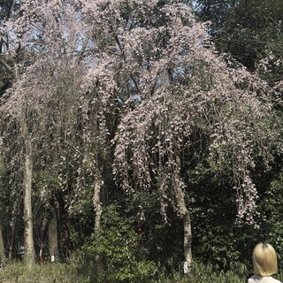 グリル生研会館_1