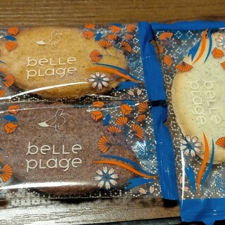 ベルプラージュ_1