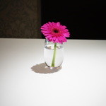 レフェルヴェソンス - 花