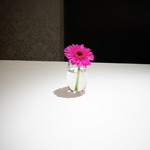 レフェルヴェソンス - 花