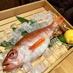 のどぐろ専門 銀座 中俣 - 