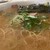 中洲屋台長浜ラーメン初代 健太 - 料理写真: