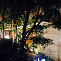青山牛彩 - 