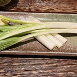 秋田きりたんぽ屋 - 