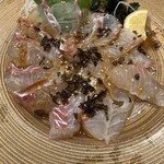 Zauo Hoshizaki Mototen