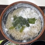 国産十割そば カネタ商店 - そば湯溜めそば700円国産十割そば カネタ商店(愛知県岡崎市)TMGP撮影