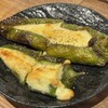 南のハポロコ