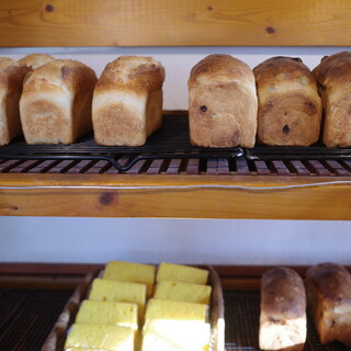 バックハウス インノ_1