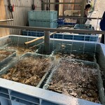やま栄水産 - 