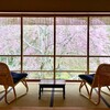 あさば - あさば《山吹》の間 窓の外の桜が満開