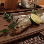 四季の味 哲粋 - 本ししゃもの塩焼
