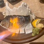 魚豪商 コダマ - 