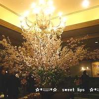 イル・テアトロ - 