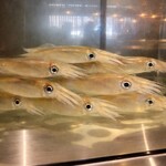 博多牛雜鍋 前田屋 總本店