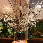 TRATTORIA 庭 BY FARM AKIRA - 