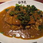 旨辛カレー専門店 白洋亭 - 