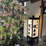 満寿家 - 入り口には、馬酔木の花が咲いていました。