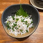 名古屋大酒場だるま - 篠島シラスおろしです