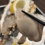 かすうどん 風土 - 