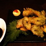 サンチャ フカミ - 