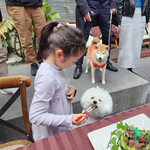 エビスエスクラッシコ - 辛抱強く待っているソラ