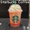 スターバックスコーヒー - 