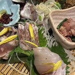 さかなさま - 